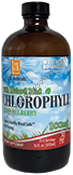 Product Image: Chlorophyll 100mg w/Spearmint
