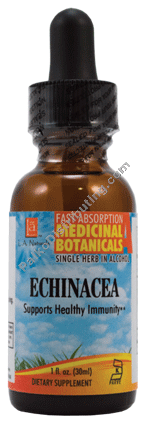 Product Image: Echinacea Organic