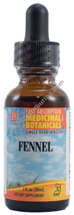 Product Image: Fennel