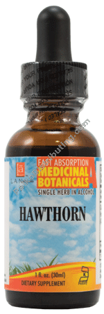 Product Image:&nbsp;Hawthorn Organic