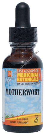 Product Image: Motherwort