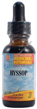 Product Image: Hyssop