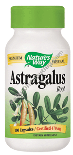 Product Image: Astragalus Root