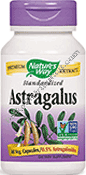 Product Image: Astragalus