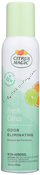 Product Image: Fresh Citrus Air Freshener