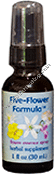 Product Image: Five Flower Spray