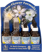 Product Image: Five Flower Display - Drop Ship