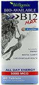 Product Image:&nbsp;BioAvailable B12 Max 5000 mcg