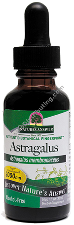 Product Image:&nbsp;Astragalus Root