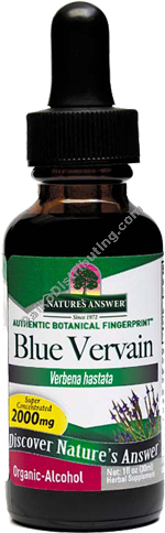 Product Image:&nbsp;Blue Vervain