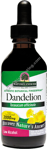 Product Image:&nbsp;Dandelion Root