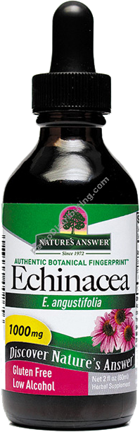 Product Image:&nbsp;Echinacea Aerial Parts