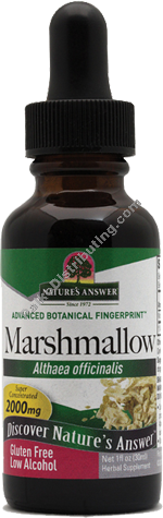 Product Image:&nbsp;Marshmallow