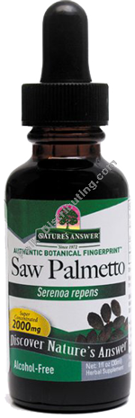 Product Image:&nbsp;Saw Palmetto Berries