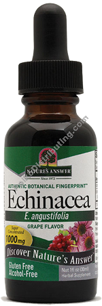 Product Image:&nbsp;Echinacea