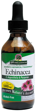 Product Image:&nbsp;Echinacea