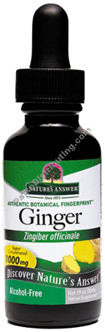 Product Image:&nbsp;Ginger Root