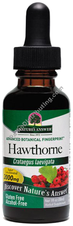 Product Image:&nbsp;Hawthorn Berries