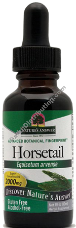 Product Image:&nbsp;Horsetail