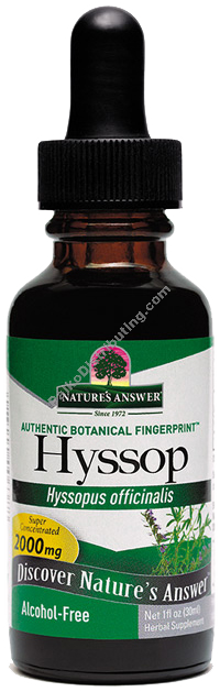 Product Image:&nbsp;Hyssop