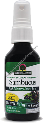 Product Image: Sambucus Black Elderberry Spray