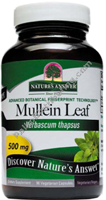 Product Image:&nbsp;Mullein Leaf Wildcrafted