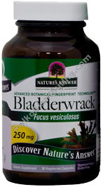 Product Image:&nbsp;Bladderwrack Thallus