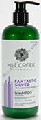 Product Image:&nbsp;Fantastic Silver Shampoo